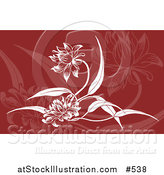 Vector Illustration of a Red and White Floral Background by AtStockIllustration