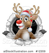 Vector Illustration of a Red Nosed Christmas Reindeer in a Hole in a Wall by AtStockIllustration