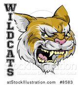 Vector Illustration of a Roaring Aggressive Bobcat Mascot Head and WILDCATS Text by AtStockIllustration