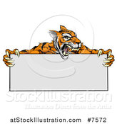 Vector Illustration of a Roaring Aggressive Tiger Sports Mascot Holding a Blank Wide Sign by AtStockIllustration