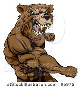 Vector Illustration of a Roaring Angry Muscular Bear Man Punching by AtStockIllustration