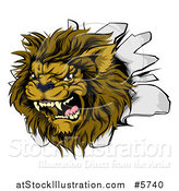 Vector Illustration of a Roaring Lion Mascot Head Breaking Through a Wall by AtStockIllustration