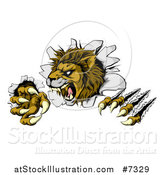 Vector Illustration of a Roaring Lion Mascot Slashing Through a Wall by AtStockIllustration