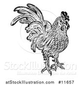 Vector Illustration of a Rooster Chicken Black and White Woodcut Style by AtStockIllustration