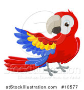 Vector Illustration of a Scarlet Macaw Parrot Presenting by AtStockIllustration