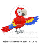 Vector Illustration of a Scarlet Macaw Parrot Presenting with a Wing by AtStockIllustration