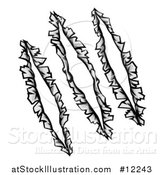 Vector Illustration of a Scratched Tears in Metal by AtStockIllustration