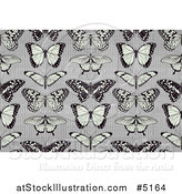 Vector Illustration of a Seamless Background Pattern of Butterflies on Stripes by AtStockIllustration