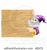 Vector Illustration of a Senior Male Wizard Pointing at a Wooden Sign by AtStockIllustration