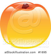 Vector Illustration of a Shiny Organic Peach by AtStockIllustration