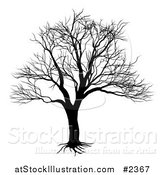 Vector Illustration of a Silhouetted Black and White Bare Tree by AtStockIllustration