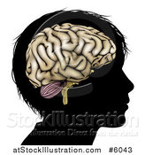 Vector Illustration of a Silhouetted Boys Head with a Brain by AtStockIllustration