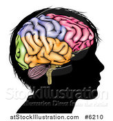 Vector Illustration of a Silhouetted Boy's Head with a Colorful Brain by AtStockIllustration
