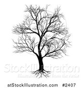 Vector Illustration of a Silhouetted Mature Bare Tree and Roots by AtStockIllustration