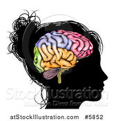 Vector Illustration of a Silhouetted Woman's Head with a Visual Brain by AtStockIllustration