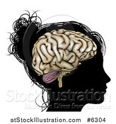 Vector Illustration of a Silhouetted Woman's or Girl's Head with a Visible Brain by AtStockIllustration