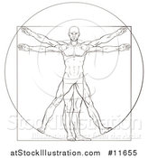 Vector Illustration of a Sketch of Leonard Da Vincis Vitruvian Man by AtStockIllustration