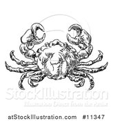 Vector Illustration of a Sketched Black and White Seafood Crab by AtStockIllustration