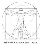 Vector Illustration of a Sketched Vitruvian Man by AtStockIllustration