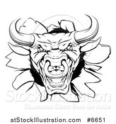 Vector Illustration of a Snarling Aggressive Black and White Bull Breaking Through a Wall by AtStockIllustration