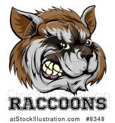 Vector Illustration of a Snarling Aggressive Raccoon Mascot Head and Text by AtStockIllustration
