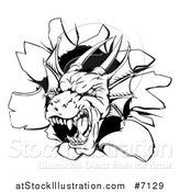 Vector Illustration of a Snarling Black and White Dragon Mascot Head Breaking Through a Wall by AtStockIllustration