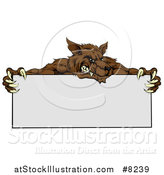 Vector Illustration of a Snarling Brown Wolf Mascot over a Blank Sign by AtStockIllustration