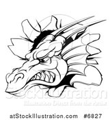 Vector Illustration of a Snarling Fierce Black and White Dragon Mascot Head Breaking Through a Wall by AtStockIllustration