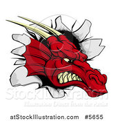 Vector Illustration of a Snarling Fierce Red Dragon Mascot Head Breaking Through a Wall by AtStockIllustration