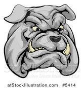 Vector Illustration of a Sports Bulldog Mascot Face by AtStockIllustration