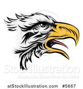 Vector Illustration of a Squawking Bald Eagle Head in Profile by AtStockIllustration