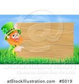 Vector Illustration of a St Patricks Day Leprechaun Pointing to a Wooden Sign over Grass and Sky by AtStockIllustration