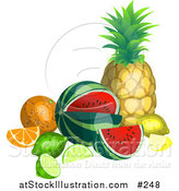 Vector Illustration of a Still Life of Tropical Fruits, Pineapple, Watermelon, Lemon, Lime, Orange by AtStockIllustration