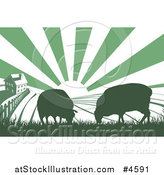 Vector Illustration of a Sunrise over a Green Silhouetted Farm House with Cows and Fields by AtStockIllustration