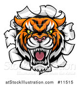 Vector Illustration of a Tiger Mascot Head Breaking Through a Wall by AtStockIllustration