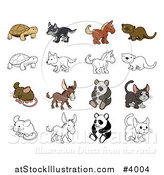 Vector Illustration of a Tortoise Wolf Horse Otter Mouse Donkey Panda and Kitten in Color and Black and White by AtStockIllustration