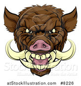 Vector Illustration of a Tough Brown Razorback Boar Mascot Head by AtStockIllustration