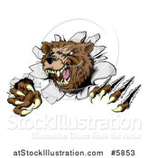 Vector Illustration of a Vicious Aggressive Bear Mascot Slashing Through a Wall by AtStockIllustration