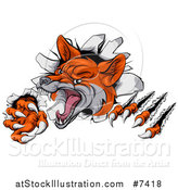 Vector Illustration of a Vicious Fox Slashing Through a Wall by AtStockIllustration