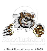Vector Illustration of a Vicious Raccoon Monster Shredding Through a Wall by AtStockIllustration