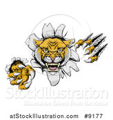 Vector Illustration of a Vicious Roaring Wild Cat Slashing Through a Wall by AtStockIllustration