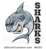 Vector Illustration of a Vicious Shark Mascot Attacking with Text by AtStockIllustration