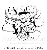 Vector Illustration of a Vicious Snarling Aggressive Black and White Bull Breaking Through a Wall 2 by AtStockIllustration