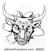 Vector Illustration of a Vicious Snarling Aggressive Black and White Bull Breaking Through a Wall by AtStockIllustration
