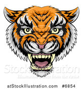 Vector Illustration of a Vicious Snarling Tiger Mascot Face by AtStockIllustration