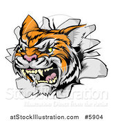 Vector Illustration of a Vicious Tiger Mascot Breaking Through a Wall by AtStockIllustration