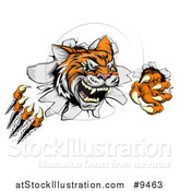 Vector Illustration of a Vicious Tiger Mascot Slashing Through a Wall by AtStockIllustration
