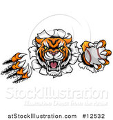 Vector Illustration of a Vicious Tiger Mascot Slashing Through a Wall with a Baseball by AtStockIllustration