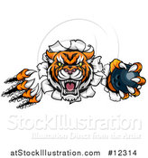 Vector Illustration of a Vicious Tiger Mascot Slashing Through a Wall with a Bowling Ball by AtStockIllustration