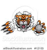 Vector Illustration of a Vicious Tiger Mascot Slashing Through a Wall with a Golf Ball by AtStockIllustration